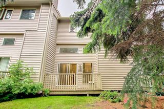 Photo 43: 280 Point Mckay Terrace NW in Calgary: Point McKay Row/Townhouse for sale : MLS®# A1236721