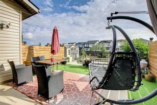 Photo 44: 48 Skyview Springs Crescent NE in Calgary: Skyview Ranch Detached for sale : MLS®# A1253952