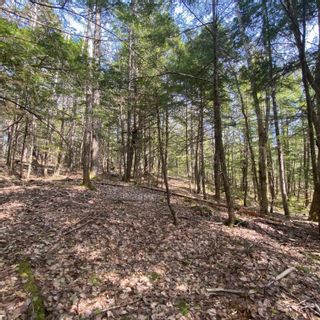 Photo 1: Lot 8 Old Trunk Highway 3 in Hebbs Cross: 405-Lunenburg County Vacant Land for sale (South Shore)  : MLS®# 202312885
