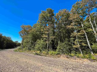 Photo 2: Lot 15-30 Westchester Road in Sutherlands Lake: 103-Malagash, Wentworth Vacant Land for sale (Northern Region)  : MLS®# 202402228