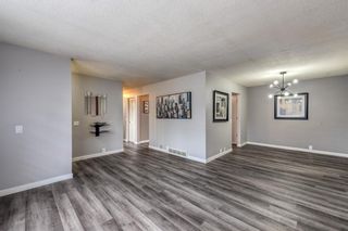 Photo 10: 723 Cantrell Drive SW in Calgary: Canyon Meadows Detached for sale : MLS®# A2126806