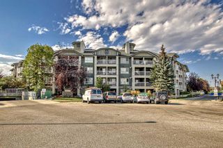 Photo 44: 114 35 richard Court SW in Calgary: Lincoln Park Apartment for sale : MLS®# A2081498
