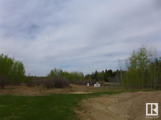 Photo 29: 50 Ave RR 281: Rural Wetaskiwin County Rural Land/Vacant Lot for sale : MLS®# E4299520