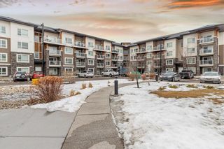 Photo 28: 4310 240 Skyview Ranch Road NE in Calgary: Skyview Ranch Apartment for sale : MLS®# A2024110
