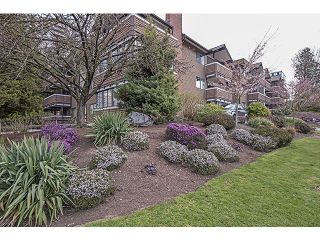 Photo 15: 309 545 SYDNEY Avenue in Coquitlam: Coquitlam West Condo for sale in "The Gables" : MLS®# V1056291
