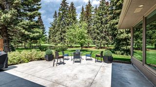 Photo 48: 36 Willow Park Green SE in Calgary: Willow Park Detached for sale : MLS®# A2052947