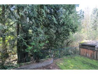Photo 14: 24310 100B Avenue in Maple Ridge: Albion House for sale in "ALBION" : MLS®# V1058134