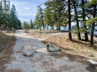 Photo 3: 300 PEREGRINE Place in Osoyoos: Vacant Land for sale : MLS®# 10308201