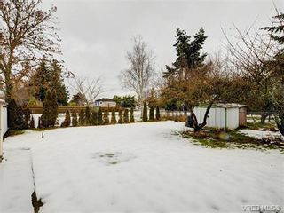 Photo 18: 1740 Mortimer St in VICTORIA: SE Mt Tolmie House for sale (Saanich East)  : MLS®# 750626
