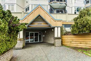 Photo 20: 114 11595 FRASER Street in Maple Ridge: East Central Condo for sale : MLS®# R2146749