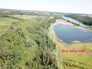 Photo 4: 27313 Twp Road 505: Rural Parkland County Rural Land/Vacant Lot for sale : MLS®# E4255712
