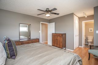 Photo 15: 160 Pamely Avenue: Red Deer Detached for sale : MLS®# A1100688