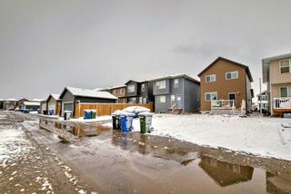 Photo 42: 64 Evanscrest Place NW in Calgary: Evanston Detached for sale : MLS®# A2124396