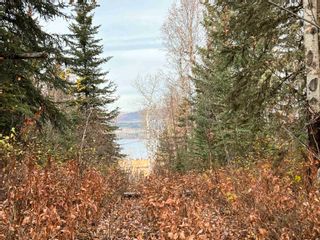Photo 7: LOT 3 CHARLIE FRONTAGE Road: Fraser Lake Land for sale (Vanderhoof And Area)  : MLS®# R2695766