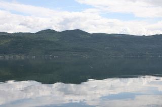 Photo 29: Affordable Shuswap Waterfront!