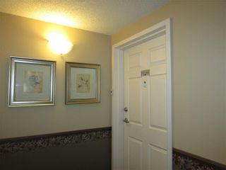 Photo 23: 204 101 3 Street NW: Sundre Apartment for sale : MLS®# C4286216
