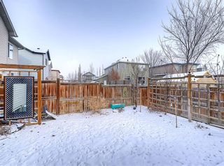 Photo 50: 86 Copperstone Crescent SE in Calgary: Copperfield Detached for sale : MLS®# A1178130