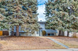Photo 48: 632 75 Avenue NW in Calgary: Huntington Hills Detached for sale : MLS®# A2105011