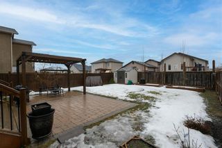 Photo 25: 50 Sunterra Cove in Winnipeg: Old Kildonan Residential for sale (4F)  : MLS®# 202402754
