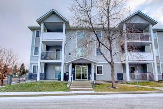 Photo 3: 105 6105 Valleyview Park SE in Calgary: Dover Apartment for sale : MLS®# A1161564