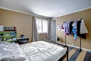 Photo 13: 6303 Rundlehorn Drive NE in Calgary: Pineridge Detached for sale : MLS®# A1181029