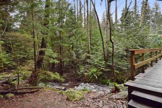 Photo 20: 5545 DEERHORN Lane in North Vancouver: Grouse Woods House for sale in "GROUSEWOODS" : MLS®# R2031482