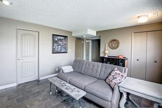 Photo 26: 11 Beaconsfield Place NW in Calgary: Beddington Heights Detached for sale : MLS®# A1191581