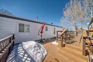 Photo 30: 173 Erin Woods Circle SE in Calgary: Erin Woods Detached for sale : MLS®# A2120375