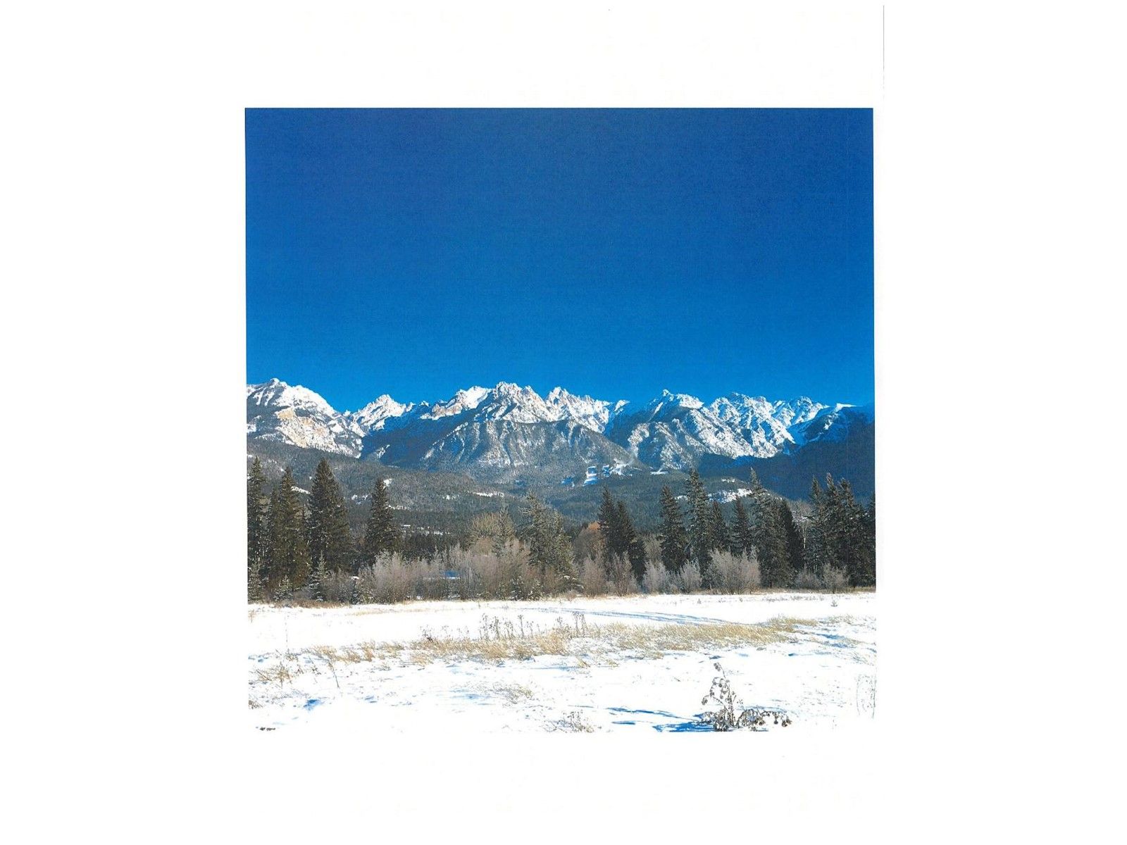 Main Photo: Lot 119 RIVERSIDE DRIVE in Fairmont Hot Springs: Vacant Land for sale : MLS®# 2468318