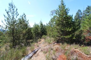 Photo 12: Lot 40 Goldstream Heights Dr in Shawnigan Lake: ML Shawnigan Land for sale (Malahat & Area)  : MLS®# 969867