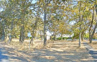 Photo 13: 1464 Bromley Pl in VICTORIA: SE Cedar Hill Land for sale (Saanich East)  : MLS®# 809481