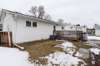 Photo 28: 145 George Suttie Bay in Winnipeg: East Kildonan Residential for sale (3B)  : MLS®# 202208419