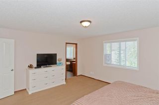 Photo 29: 307 CHAPARRAL RAVINE View SE in Calgary: Chaparral House for sale : MLS®# C4132756