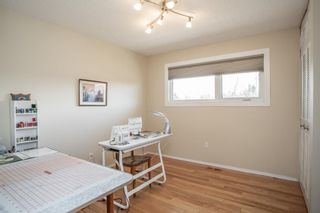 Photo 21: 160 Pamely Avenue: Red Deer Detached for sale : MLS®# A1100688