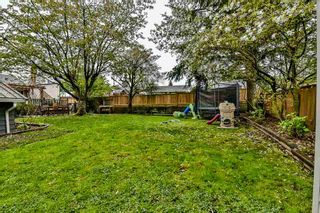 Photo 19: 12440 102 Avenue in Surrey: Cedar Hills House for sale (North Surrey)  : MLS®# R2162968