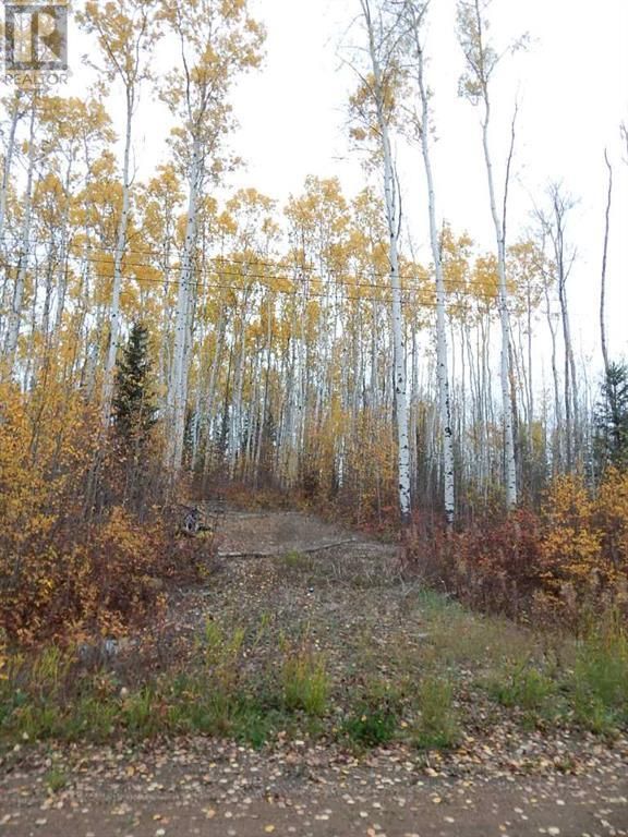 Main Photo: 54 Tugate Drive in Rural Mackenzie County: Vacant Land for sale : MLS®# A2050673