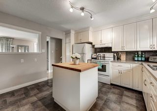 Photo 7: 406 Astoria Crescent SE in Calgary: Acadia Detached for sale : MLS®# A2074918