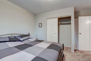 Photo 19: 511 Aberdeen Road SE in Calgary: Acadia Detached for sale : MLS®# A1153029