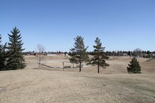 Photo 37: 740 Madeira Drive NE in Calgary: Marlborough Park Detached for sale : MLS®# A1095127