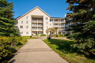 Photo 5: 110 305 1 Avenue NW: Airdrie Apartment for sale : MLS®# A1255700
