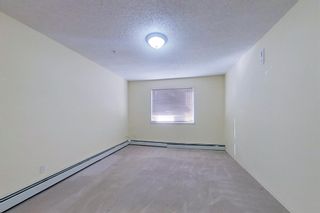Photo 10: 341 200 Richard Street: Fort McMurray Apartment for sale : MLS®# A1259256