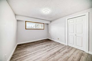 Photo 34: 2044 Pinetree Crescent NE in Calgary: Pineridge Detached for sale : MLS®# A2124958