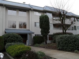Photo 1: 228 2700 MCCALLUM RD in ABBOTSFORD: Central Abbotsford Condo for rent in "THE SEASONS" (Abbotsford) 