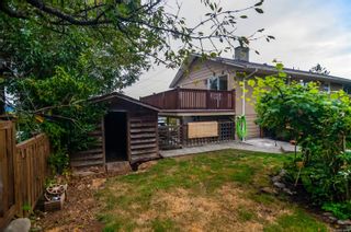 Photo 50: 252 Alder St in Campbell River: CR Campbell River South House for sale : MLS®# 914612