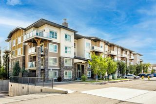 Photo 30: 1312 240 Skyview Ranch Road NE in Calgary: Skyview Ranch Apartment for sale : MLS®# A1254966