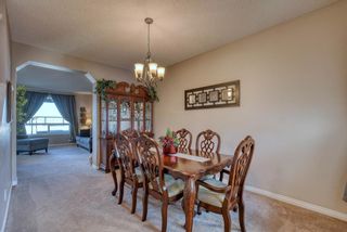 Photo 16: 27 SKYVIEW SPRINGS Cove NE in Calgary: Skyview Ranch Detached for sale : MLS®# A1053175