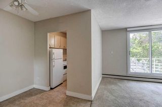 Photo 9: 401 1027 Cameron Avenue SW in Calgary: Lower Mount Royal Apartment for sale : MLS®# A2060947
