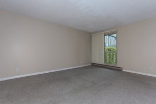 Photo 6: 303 1121 HOWIE AVENUE in Coquitlam: Central Coquitlam Condo for sale : MLS®# R2218435