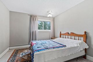Photo 12: 50 366 94 Avenue SE in Calgary: Acadia Apartment for sale : MLS®# A2009495