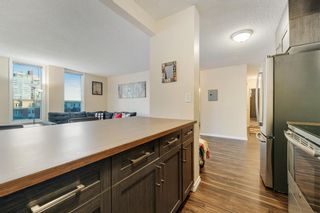 Photo 15: 603 317 14 Avenue SW in Calgary: Beltline Apartment for sale : MLS®# A2014163